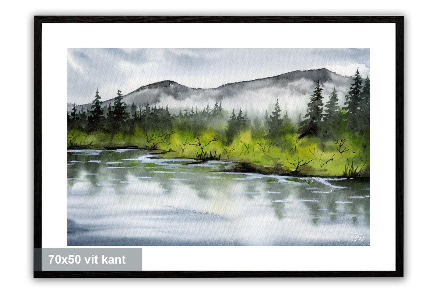 Mellan vatten och skog