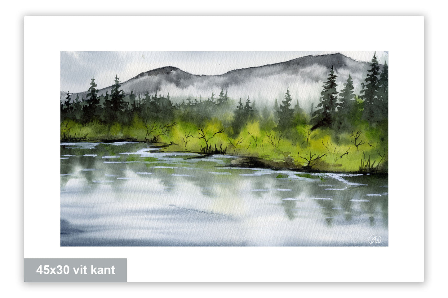 Mellan vatten och skog