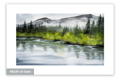 Mellan vatten och skog