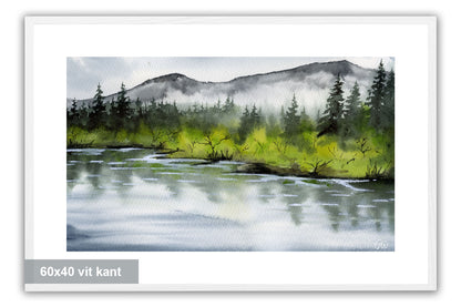 Mellan vatten och skog
