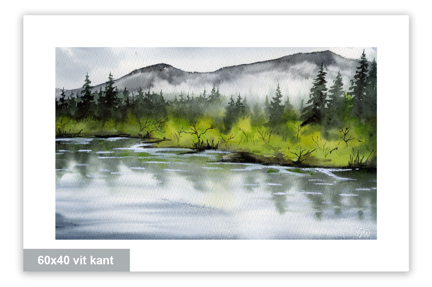 Mellan vatten och skog