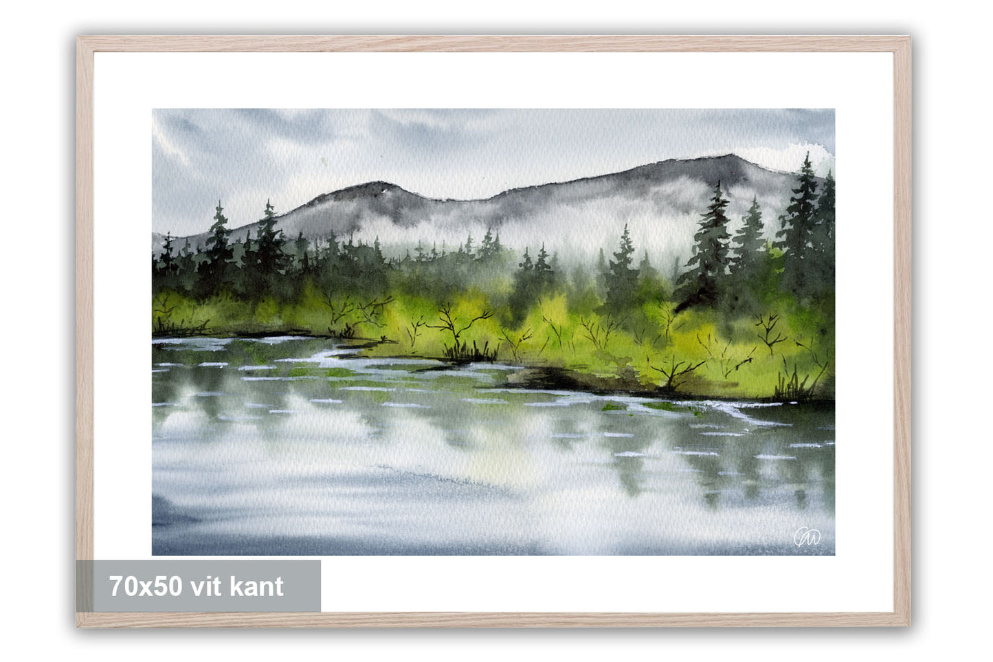 Mellan vatten och skog
