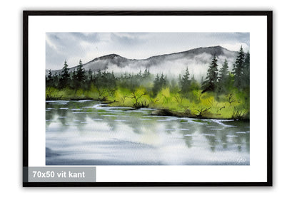 Mellan vatten och skog