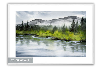 Mellan vatten och skog