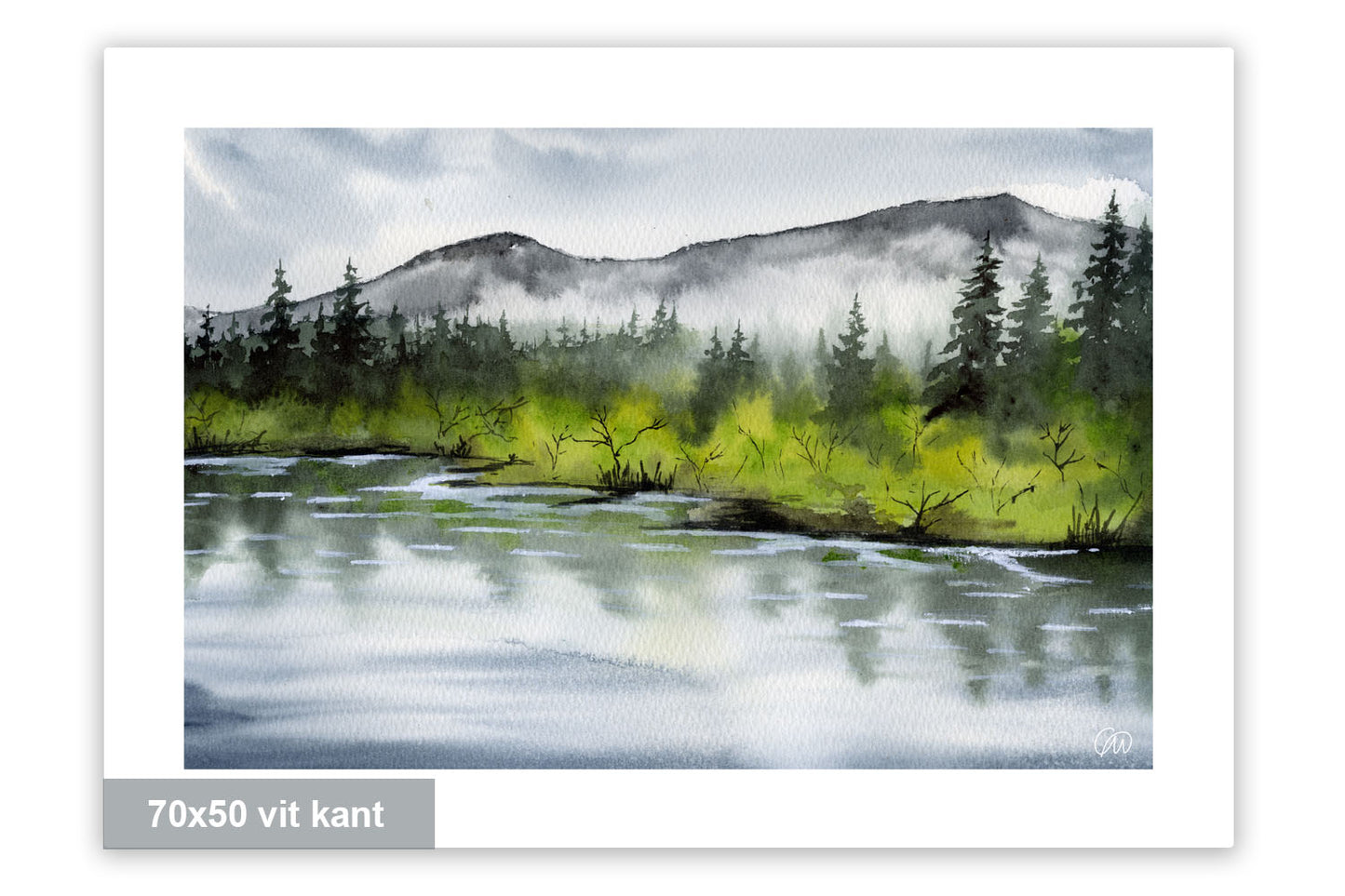 Mellan vatten och skog