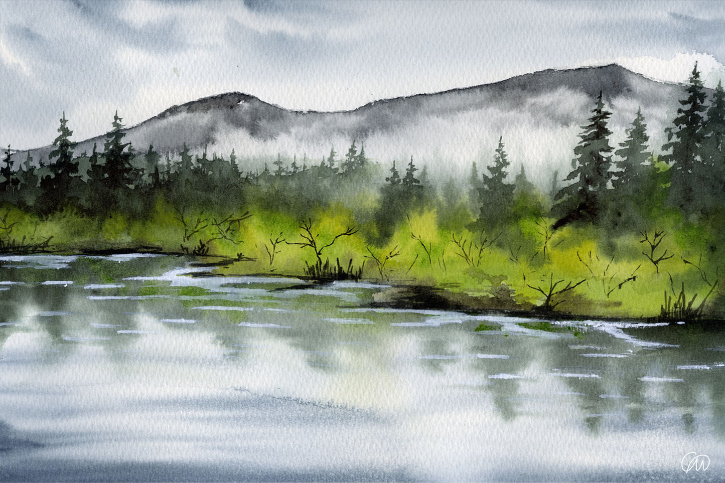 Mellan vatten och skog