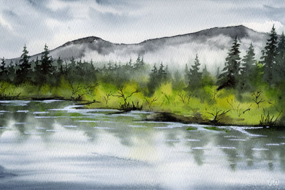 Mellan vatten och skog
