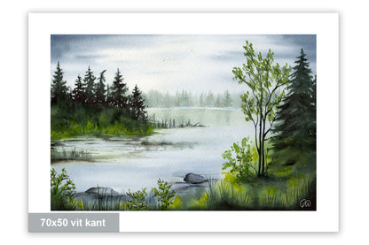 Stillhet vid sjökanten