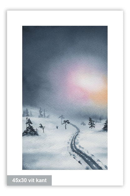 Mot ljuset