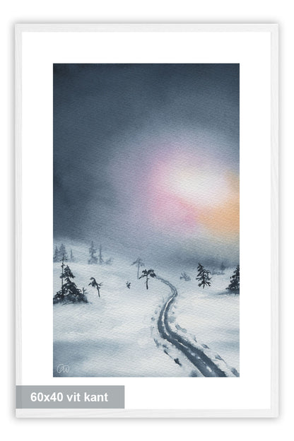 Mot ljuset