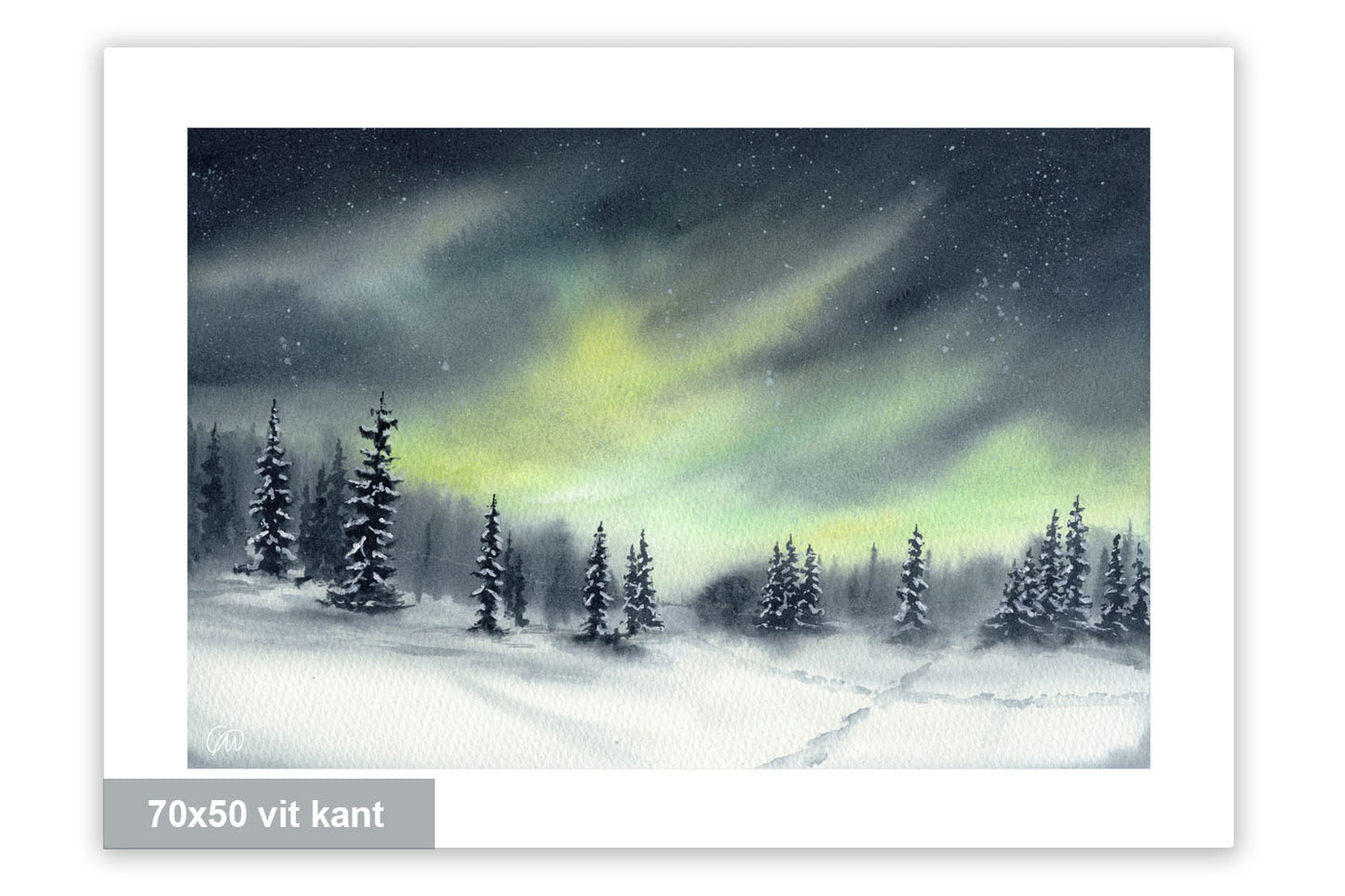 När natten lyser